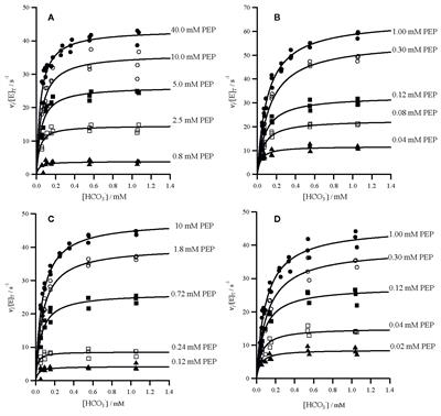 Kinetic Modifications of C4 PEPC Are Qualitatively Convergent, but Larger in Panicum Than in Flaveria